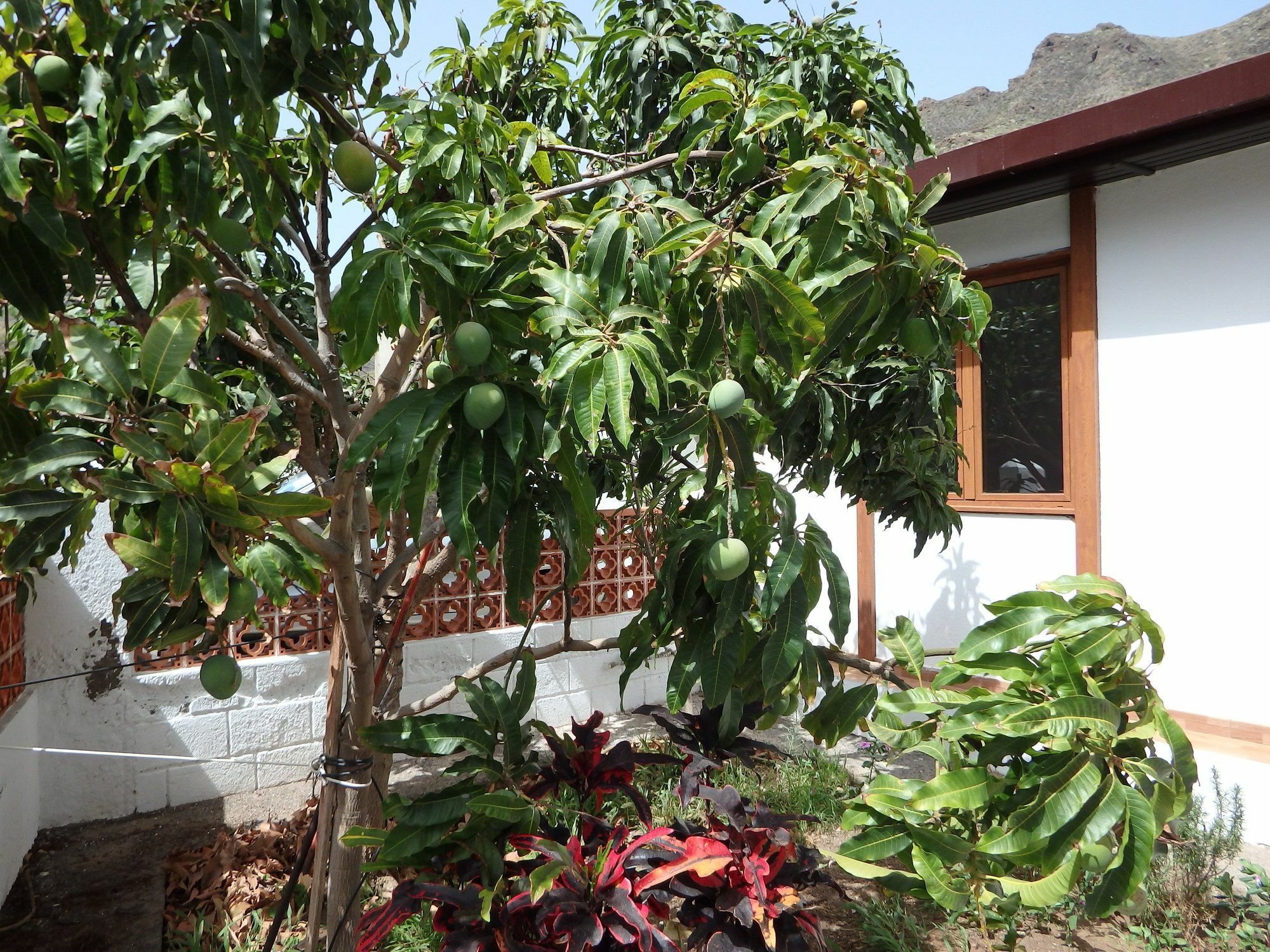 Casa Vera Santa Cruz de Tenerife Exterior foto